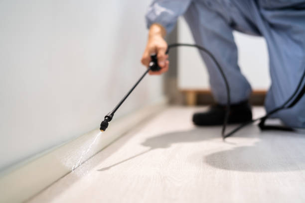 Professional exterminator conducting IPM assessment in Bothell